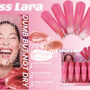 LIP GLOSS CAJA 24