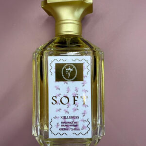 PERFUME 100ml CAJA 12 (TY1007-26)