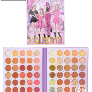 LIBRO DE MAQUILLAJE CAJA 12 UNIDADES (9007)