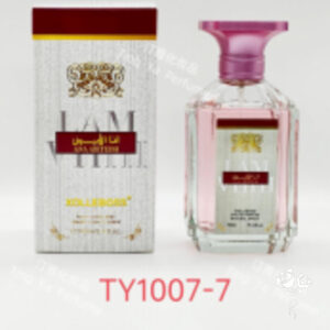 PERFUME 100ml CAJA 12 (TY1007-7)