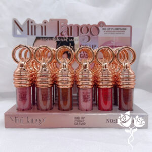 LABIAL LÍQUIDO CAJA 24 (L353)