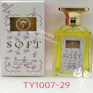 PERFUME 100ml CAJA 12 (TY1007-29)